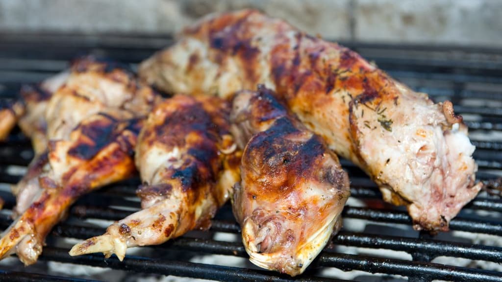 1er Festival del Conejo y el Pulque.