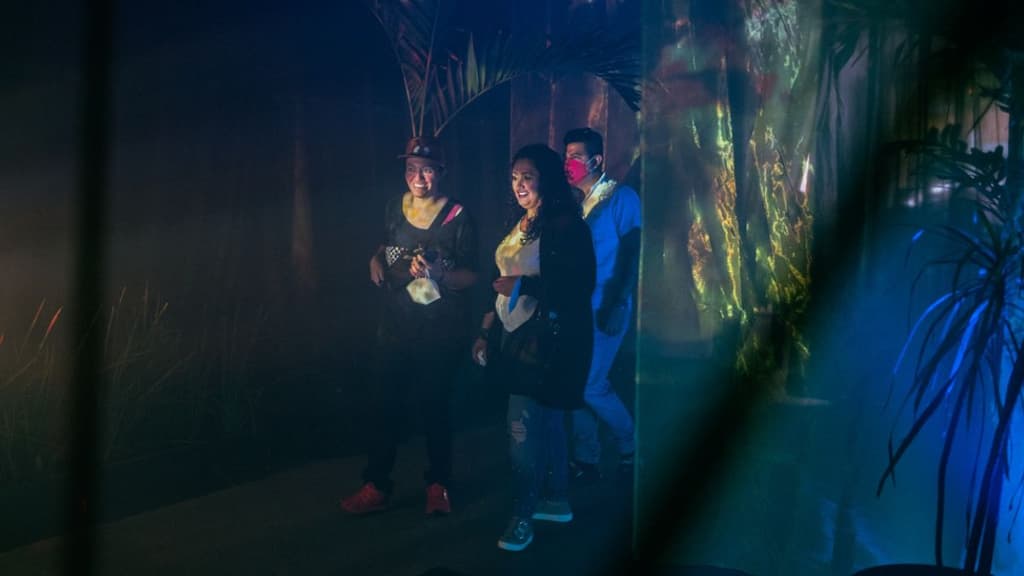 Pachefest 2023 CDMX.