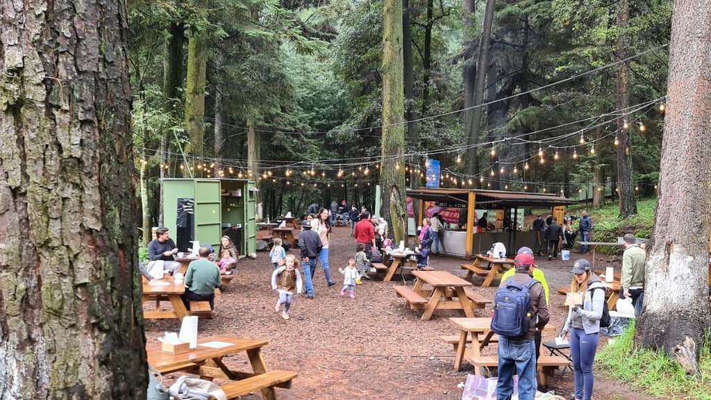 terraza para comer en cdmx