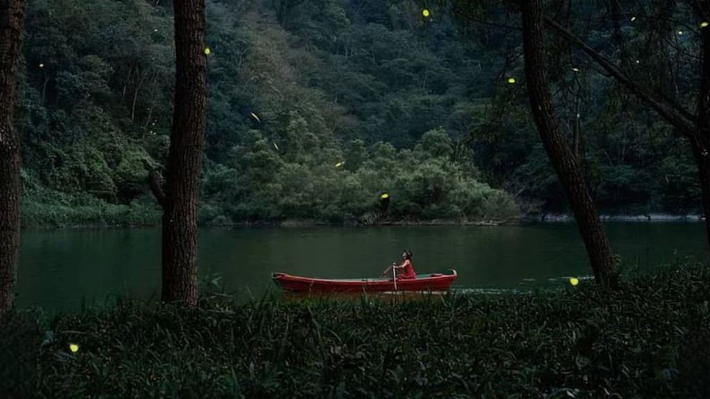 Festival de Luciérnagas