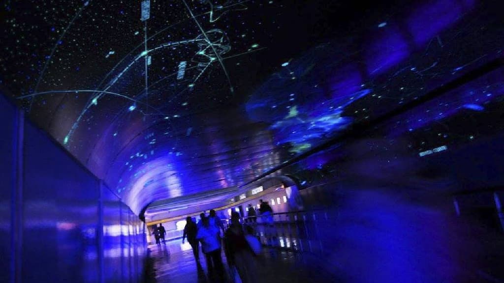 Actividades en el MEtro de CDMX