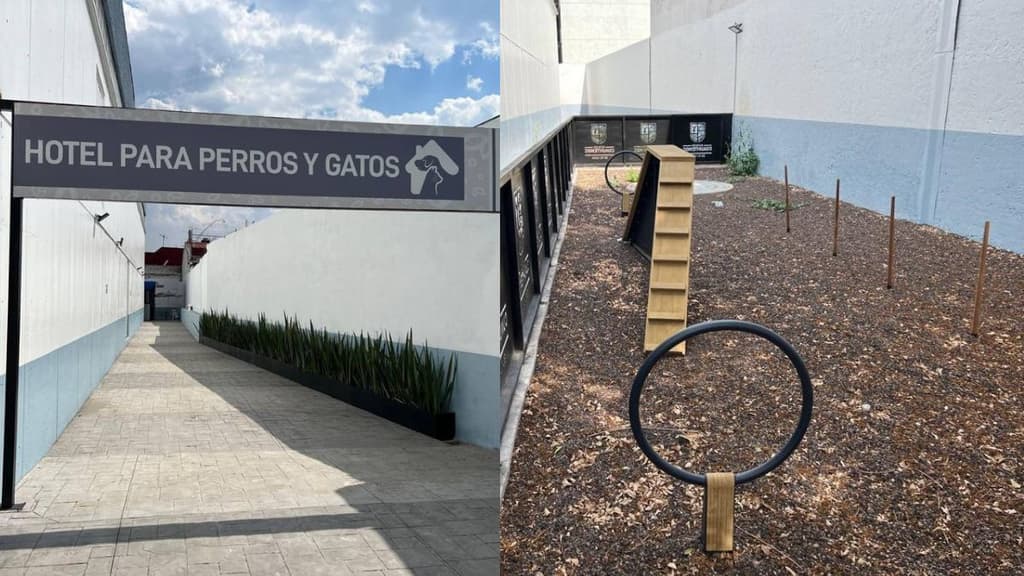 hotel para perros y gatos abandonados