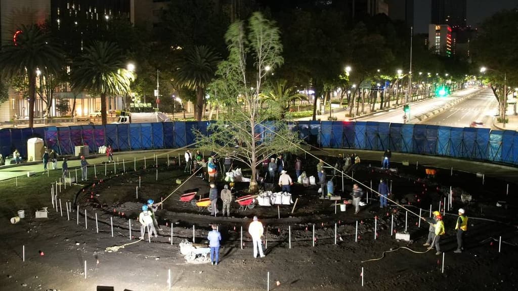 Nuevo Ahuehuete de Reforma