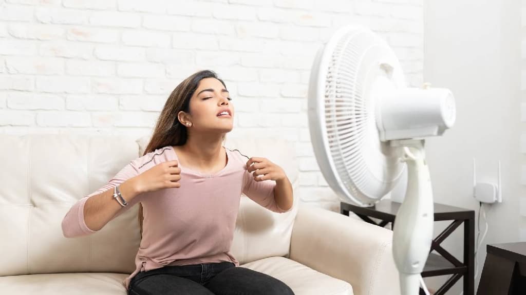 Mejores ventiladores para el calor según profeco
