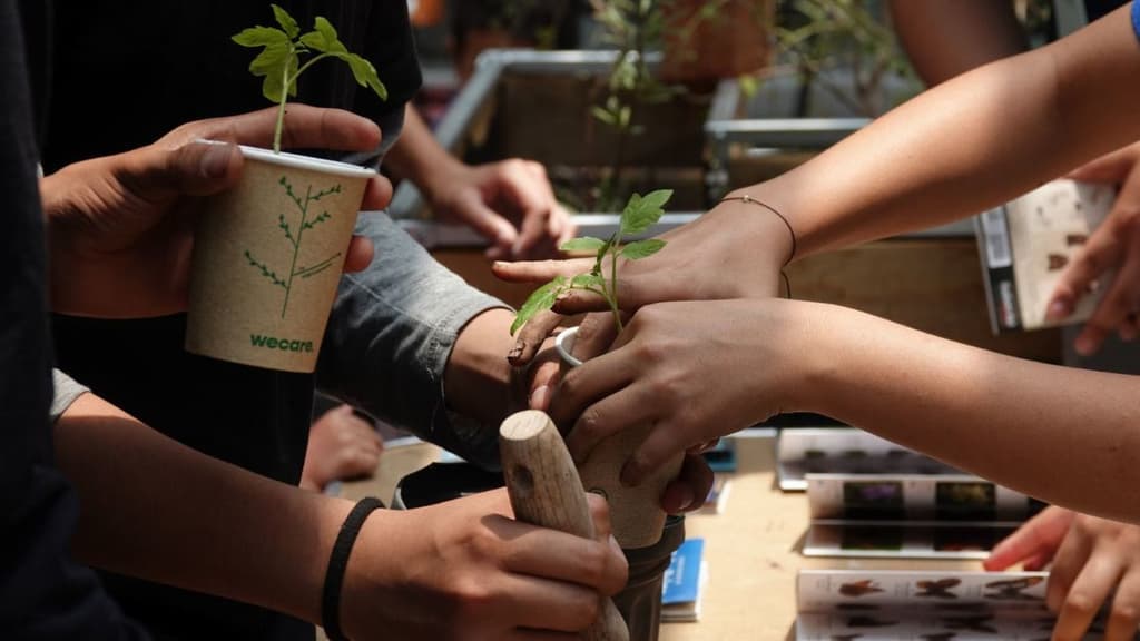 Día Mundial del Medio Ambiente, muestra de cine 2023.