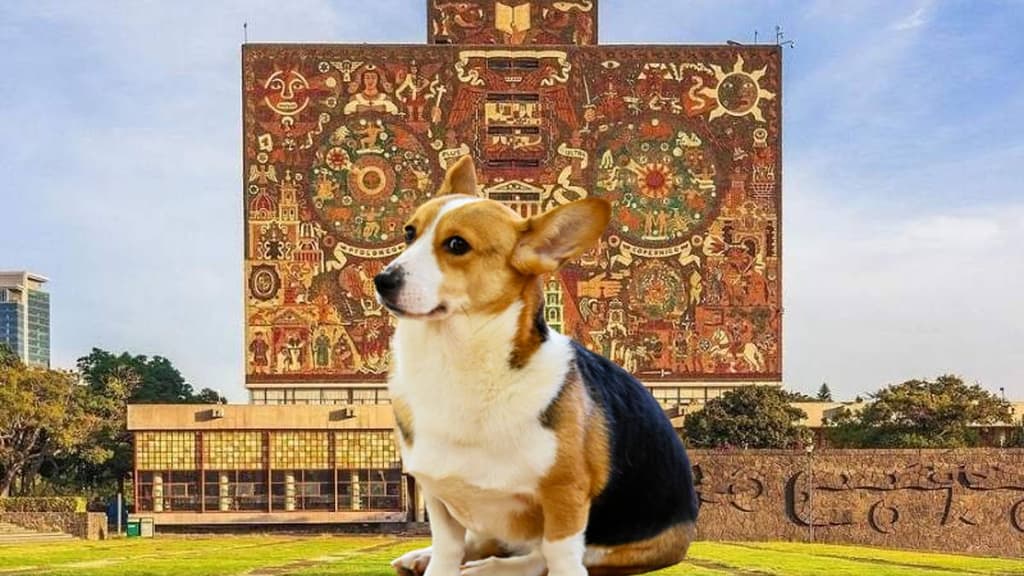 Jornada de Medicina Veterinaria y Bienestar Animal en la UNAM