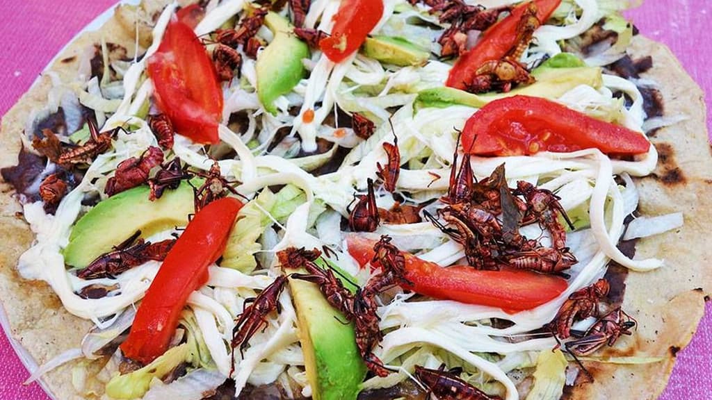 Feria de Alimentos de Origen Prehispánico