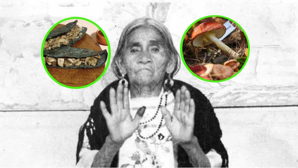 Feria del Hongo 2023 en CDMX