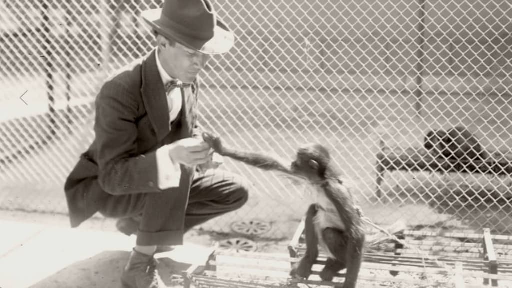 Historia del Zoológico de Chapultepec