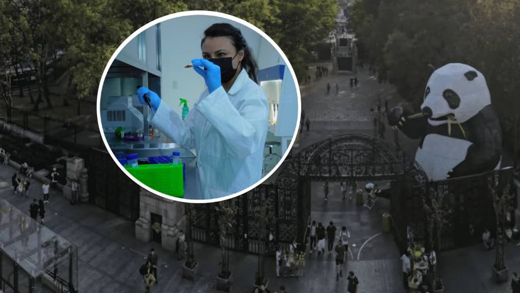 Laboratorio genético del Bosque de Chapultepec