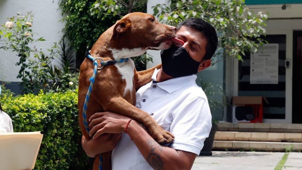 Trabajo cumunitario en la Brigada de Vigilancia Animal