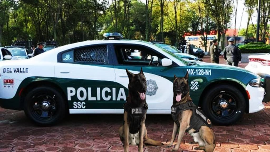 Perros policía de la SSC de CDMX