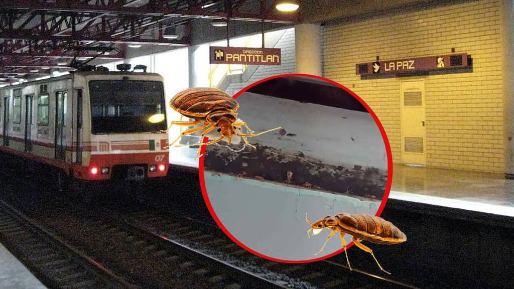 Chinches en la Línea A del Metro de CDMX