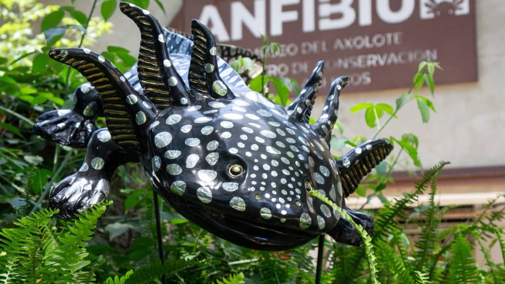 Esculturas de Ajolotes en Chapultepec