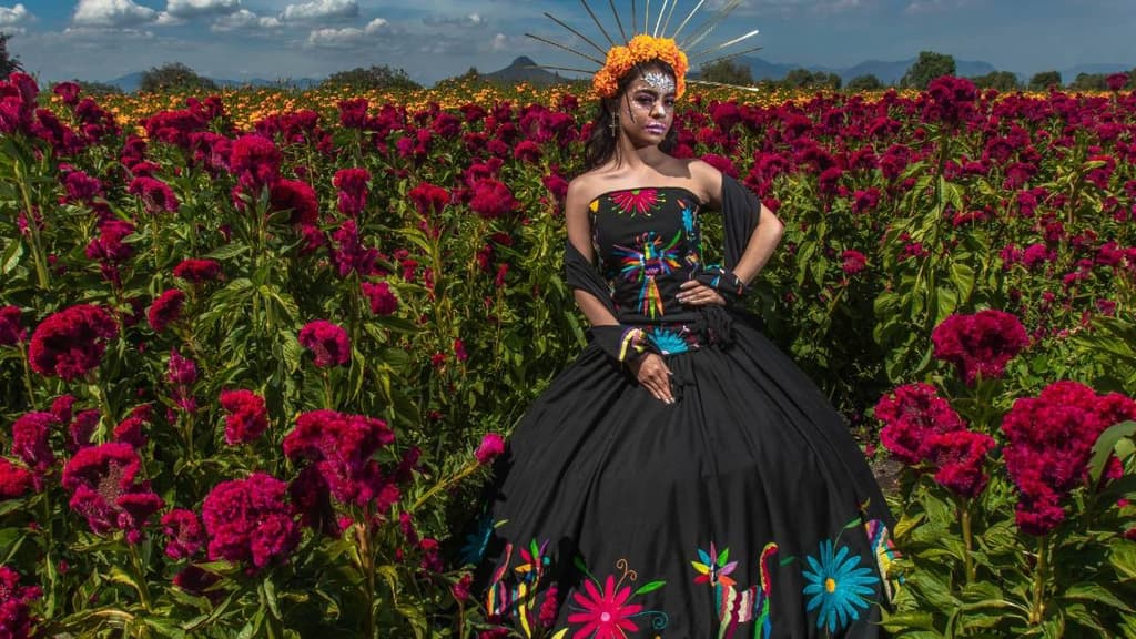 El terciopelo es la flor morada de Día de Muertos