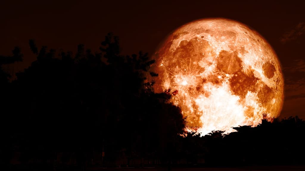 Luna del Cazador