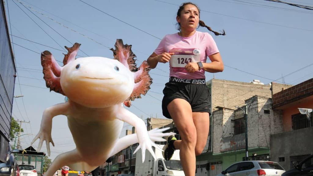 Carrera del Ajolote
