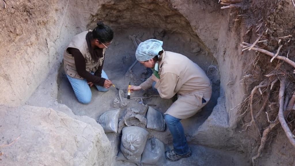 fosas chapultepec Dirección-de Salvamento Arqueológico