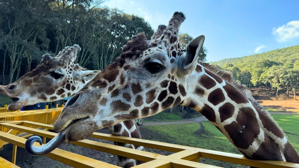 Bioparque Estrella un súper plan cerca de CDMX