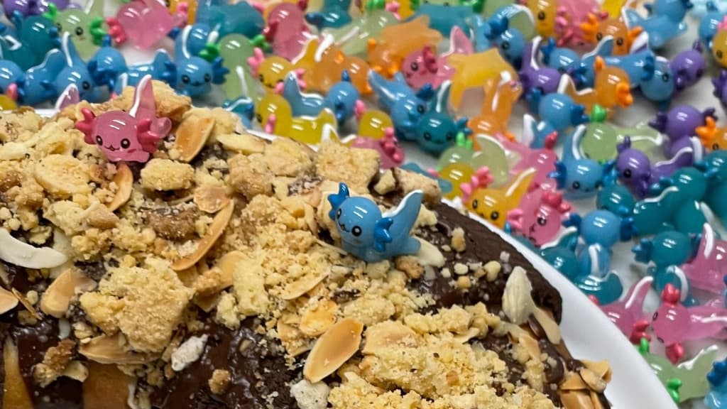 Rosca de Reyes con ajolote bebé