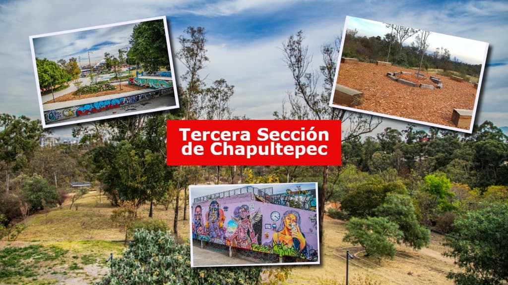 ¿Qué hacer en la Tercera Sección de Chapultepec?, te decimos cómo llegar