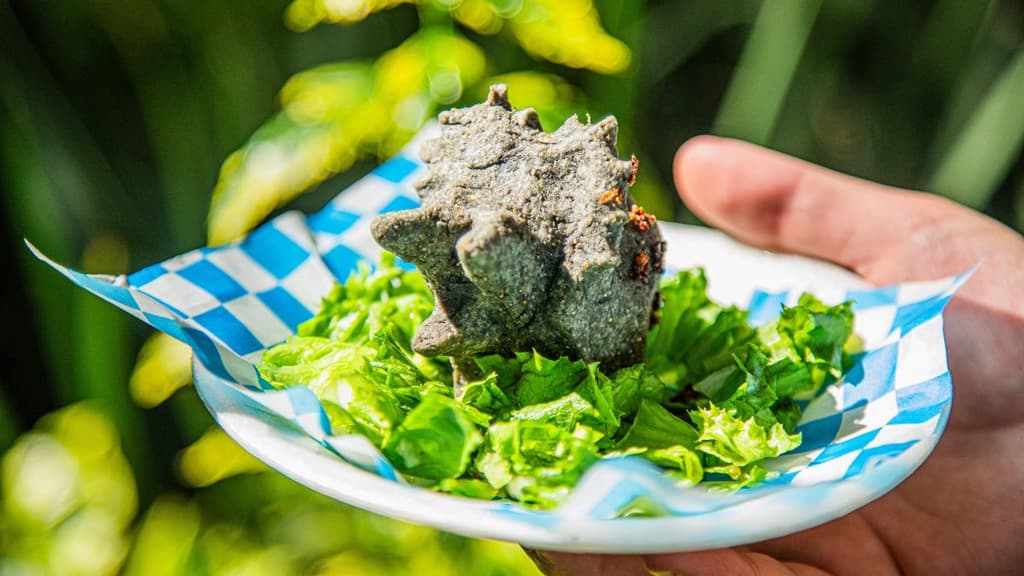 Dinoquesadillas en CDMX.