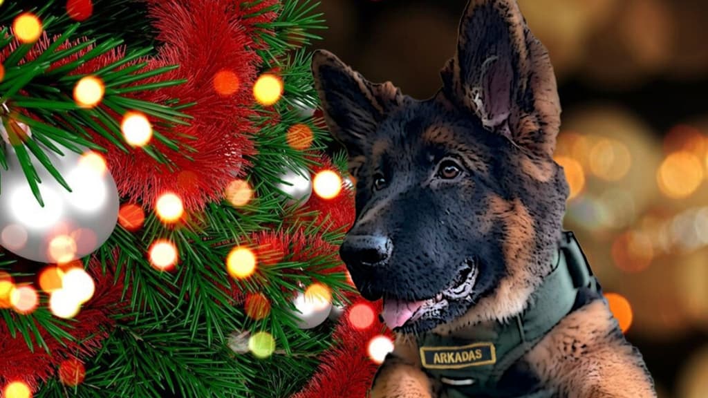 Arkadas cumple años y la Sedena invita a celebrarlo en CDMX