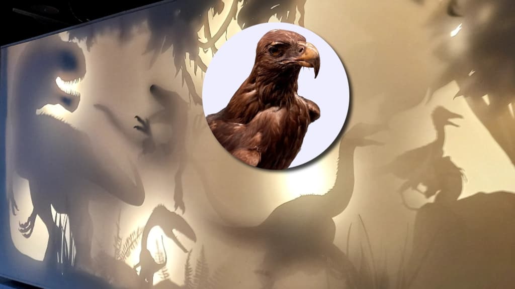 Exposición "Dinosaurios entre Nosotros": ¿hasta cuándo estará?