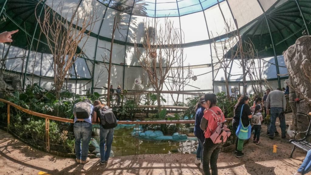 Aviario Abraham Lincoln de Polanco.