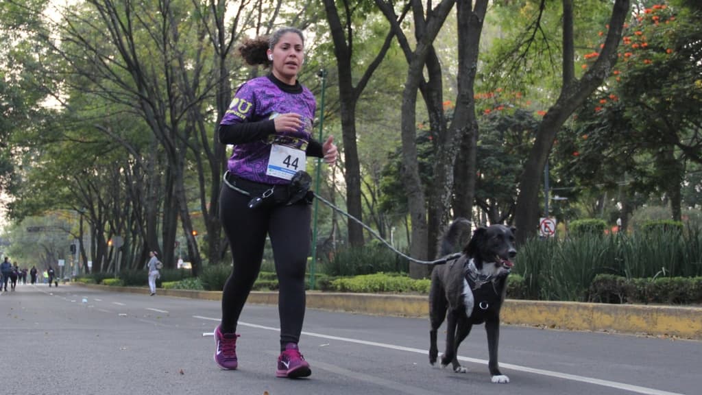 carrera con perritos cdmx_dog running