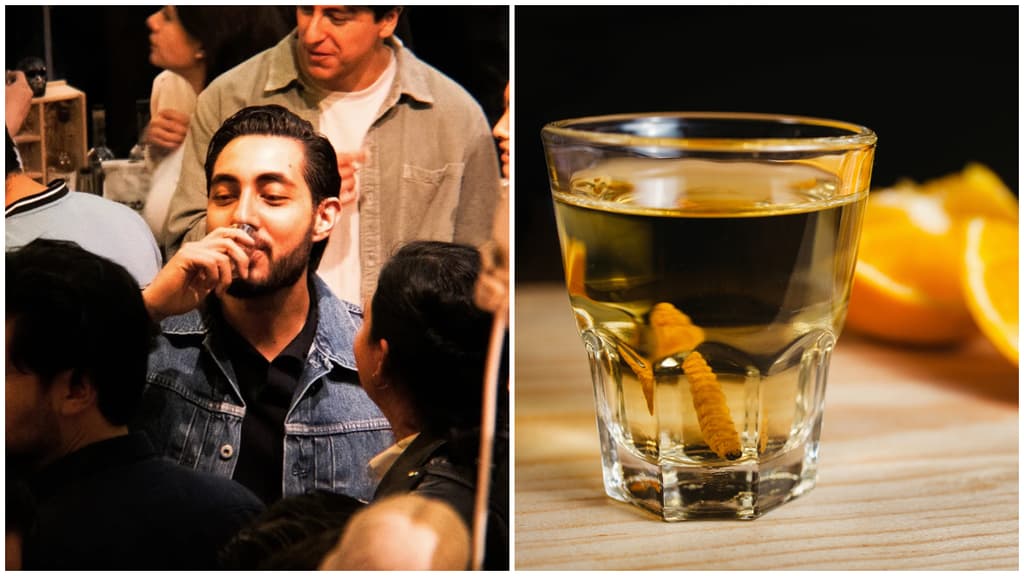 Los Mezcales del norte llegan a la CDMX con el Mezcal Fest