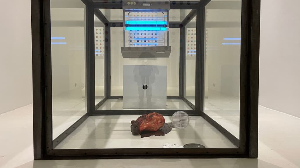 Damien Hirst en Galería Hilario Galguera CDMX.