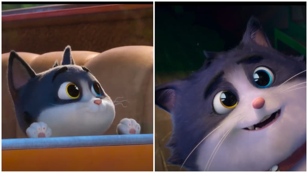 Un gato con suerte, película familiar en cines CDMX