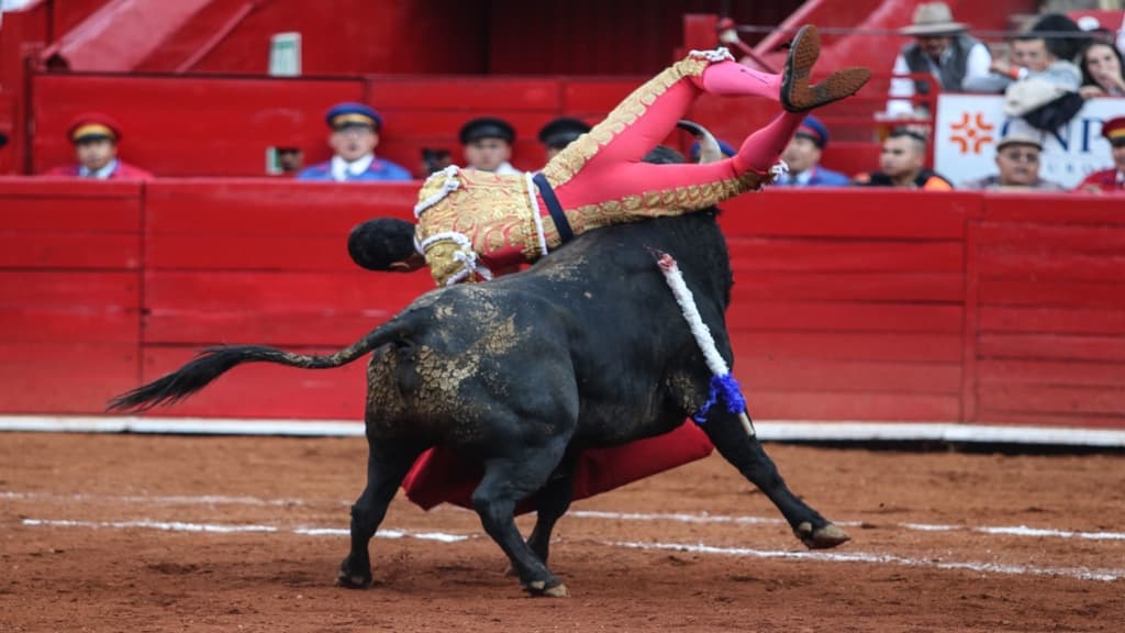 ¡Otra vez!, jueza suspende provisionalmente corrida de toros en la CDMX; esto se sabe