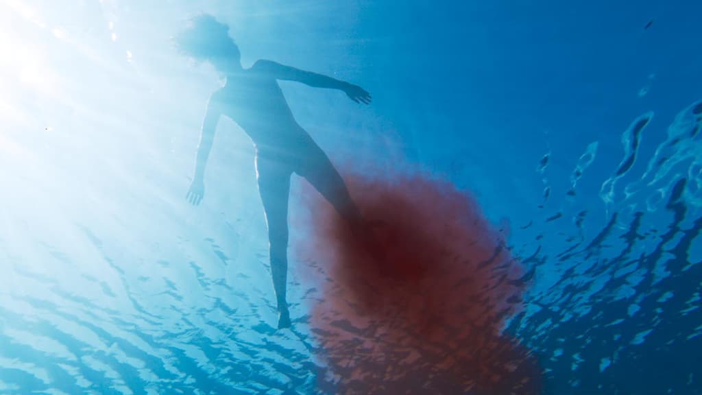 ¿Por qué ver la nueva película Carnada en cines?