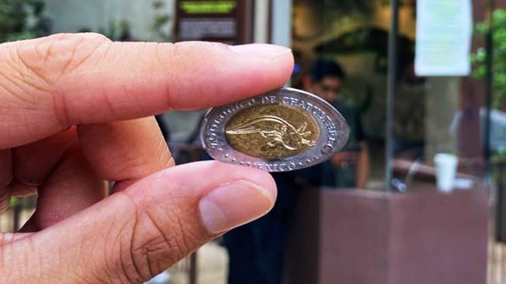 Monedas con imágenes de animales del Zoológico de Chapultepec