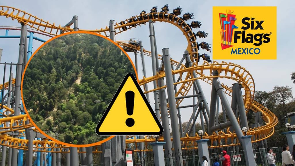 Six Flags México talará 151 árboles para construir montaña rusa