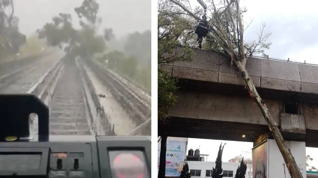 Línea 4 del Metro suspende servicio por caída de árbol
