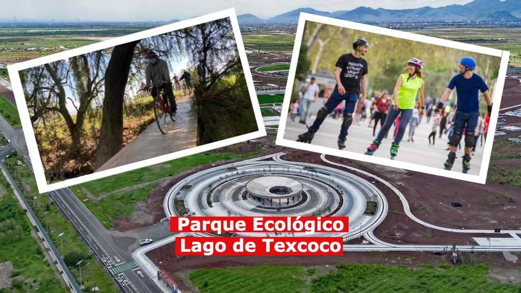 REcorrido por el Parque Ecológico Lago de Texcoco