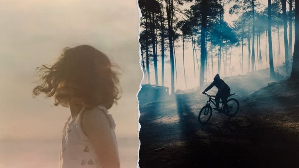 Exposición mirada fija en el Museo Franz Mayer