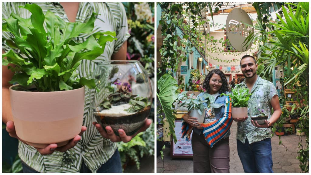 16° edición de la Plan Fest CDMX