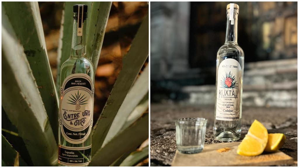 mezcal fest 2024 en cdmx