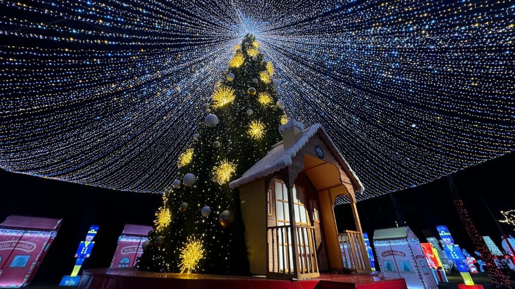 Brilla Fest 2024: El bosque navideño más bonito de la CDMX. Horarios y fechas