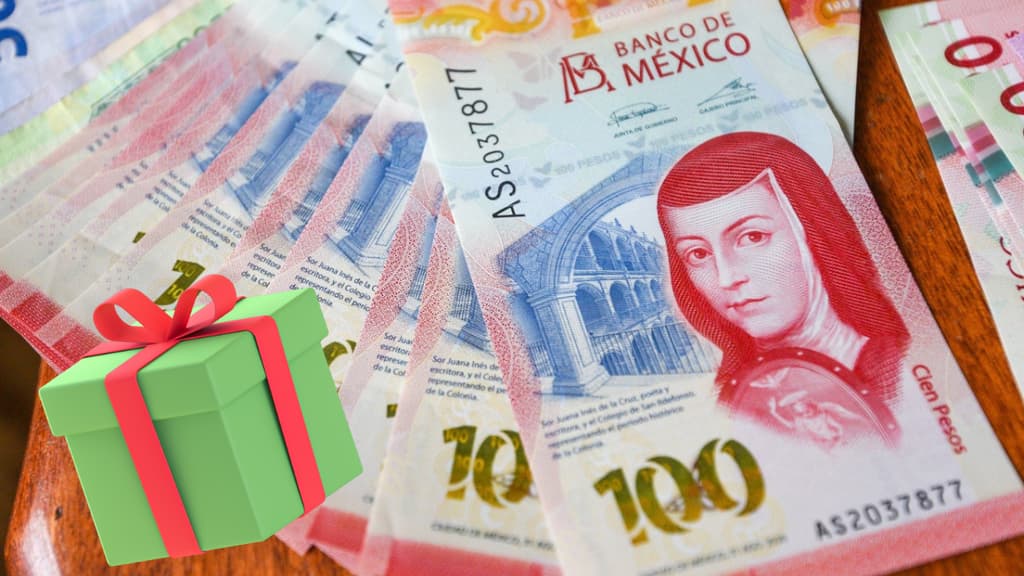 Cómo aprovechar tu aguinaldo 2024: tips para cuidarlo y gastarlo sin culpa