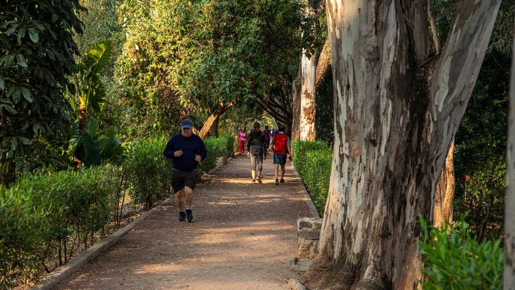 Parque Canal Nacional