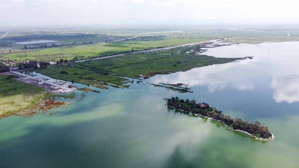 Parque Ecológico Lago de Texcoco