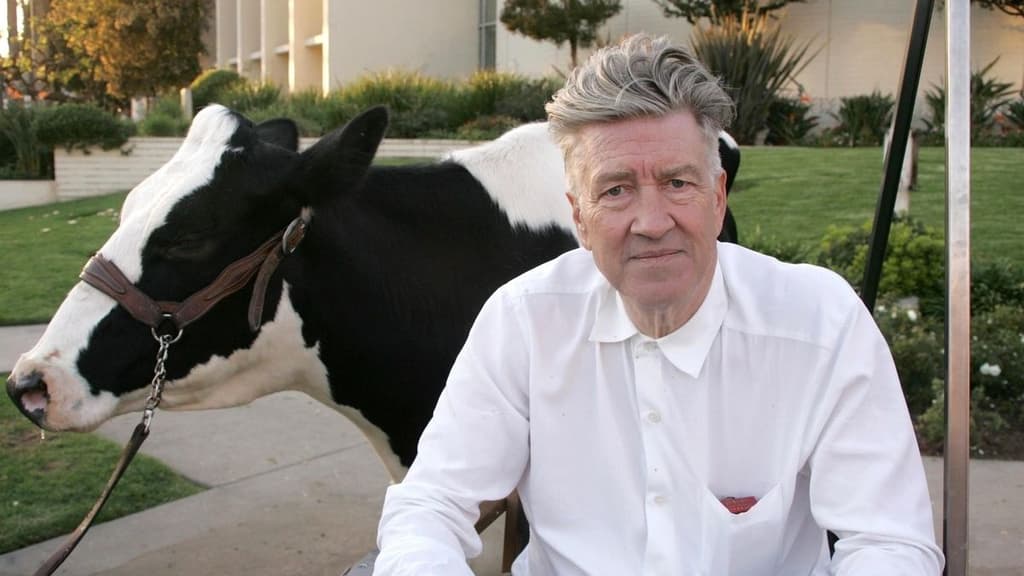 Muere David Lynch.
