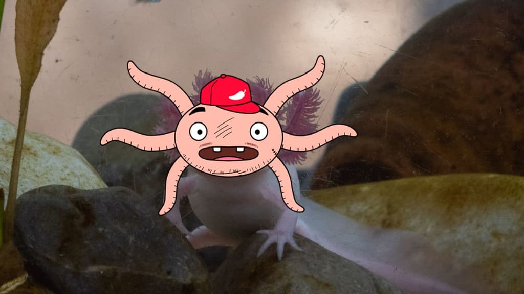 Festival del Ajolote 2025 en CDMX.