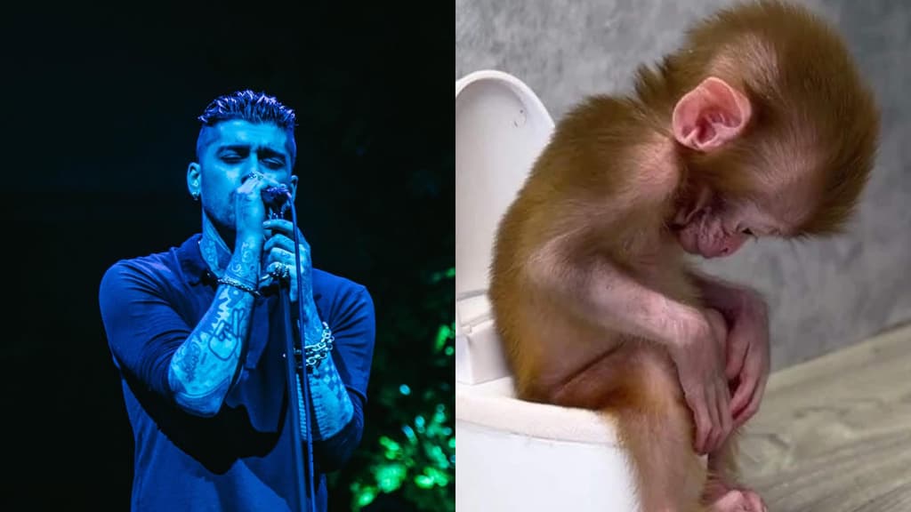 zayn cancela conciertos palacio de los deportes