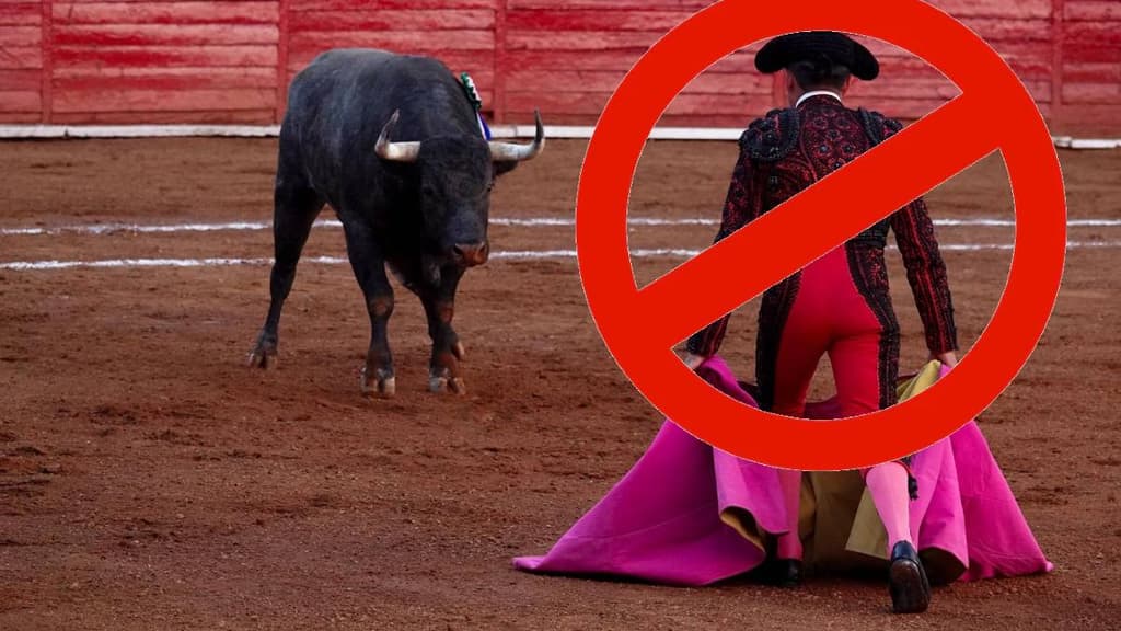Plaza de toros México suspende las corridas